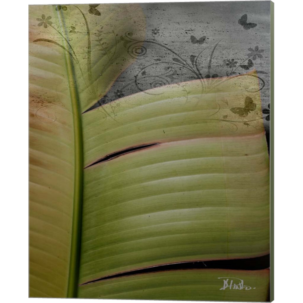 Butterfly Palm by Patricia Pinto 12&#x22; x 15&#x22; Canvas Wall Art (Set of 2)