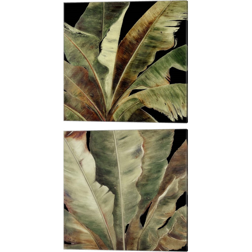 Uraba Palm on Black by Patricia Pinto 14&#x22; x 14&#x22; Canvas Wall Art (Set of 2)