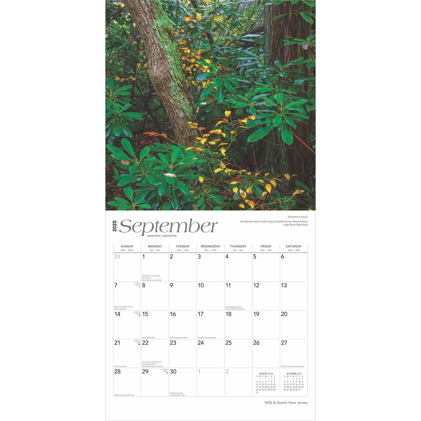 New Jersey Wild &#x26; Scenic | 2025 12 x 24 Inch Monthly Square Wall Calendar | Plastic-Free | BrownTrout | USA United States of America Northeast State Nature