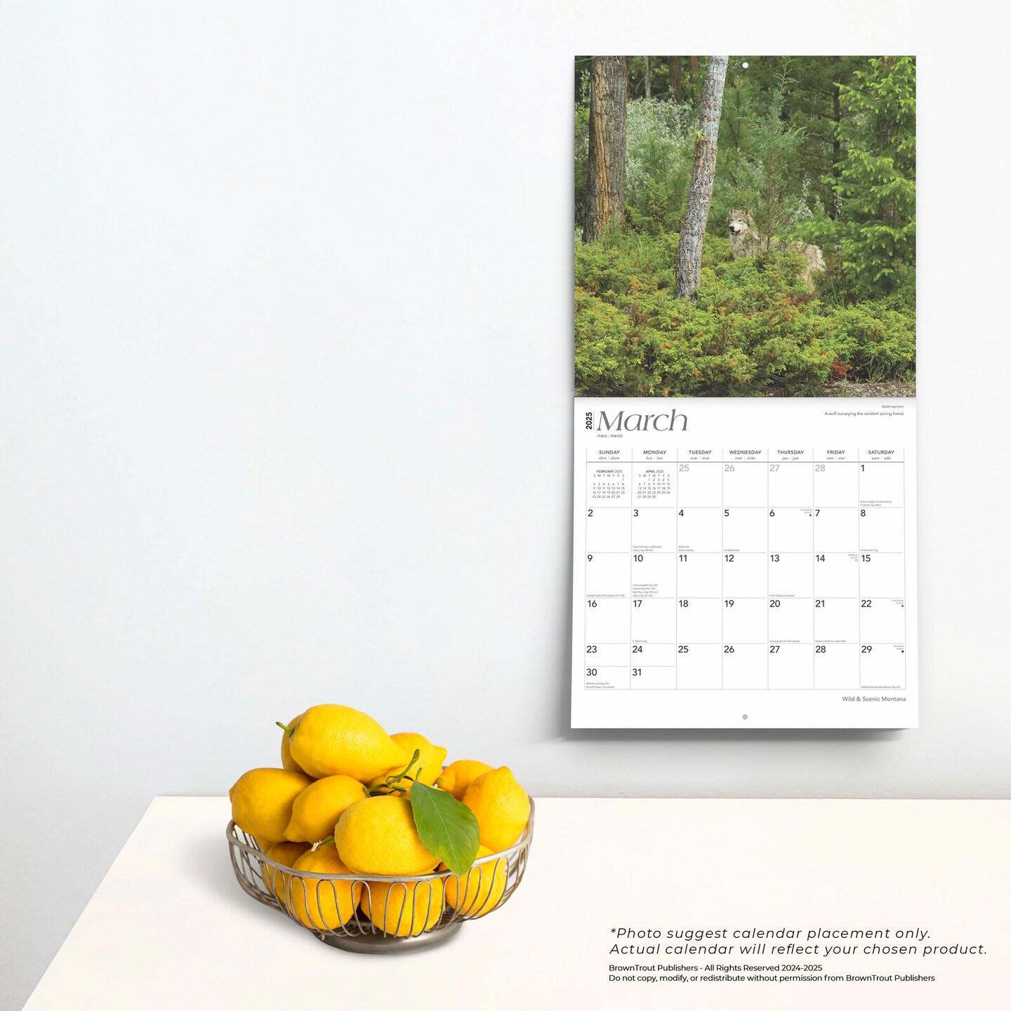 Montana Wild &#x26; Scenic | 2025 12 x 24 Inch Monthly Square Wall Calendar | Plastic-Free | BrownTrout | USA United States of America Rocky Mountains State Nature