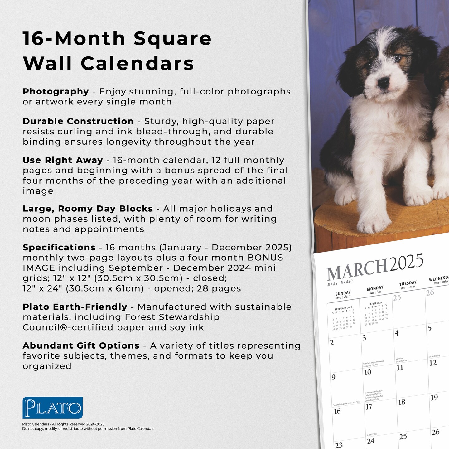 Puppy Pals | 2025 12 x 24 Inch Monthly Square Wall Calendar | Foil Stamped Cover | Plato | Animals Dog Breeds Pets
