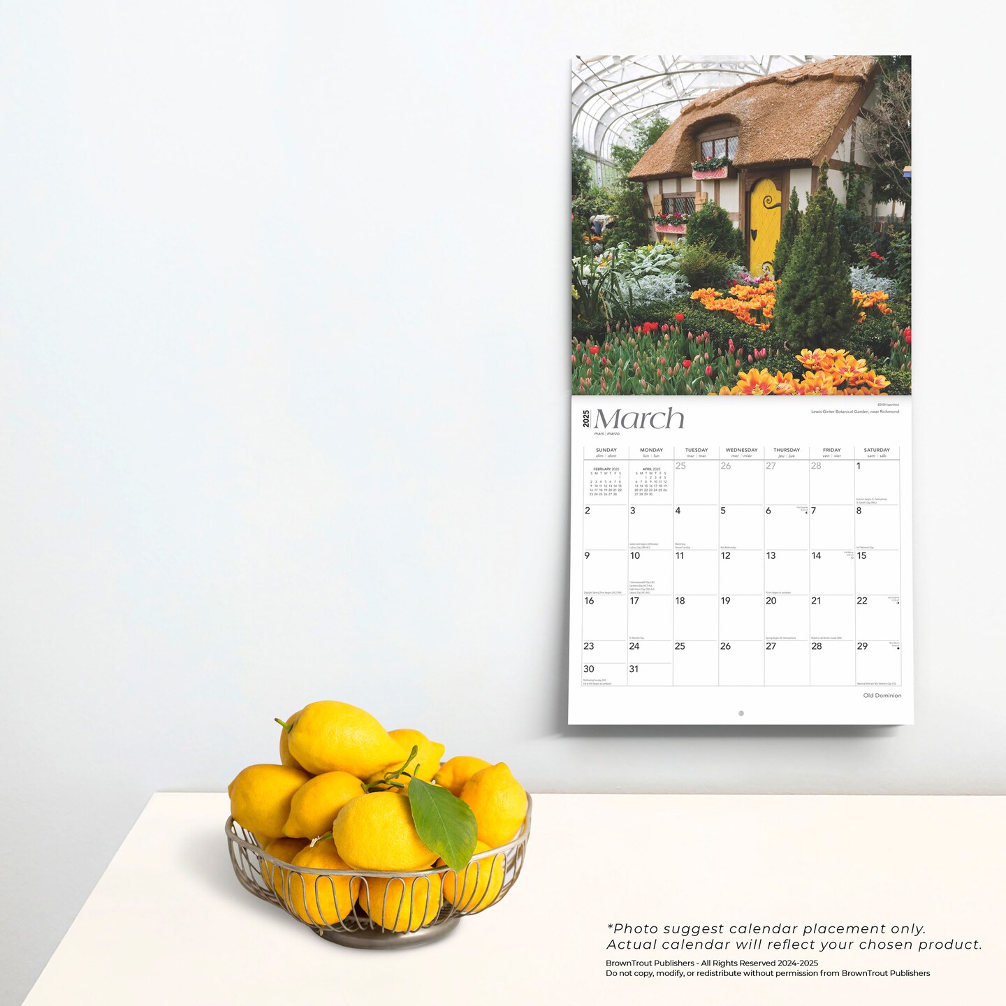 Old Dominion | Virginia Places | 2025 12 x 24 Inch Monthly Square Wall Calendar | Plastic-Free | BrownTrout | USA Appalachian Mountains Monticello Southwest State Nature