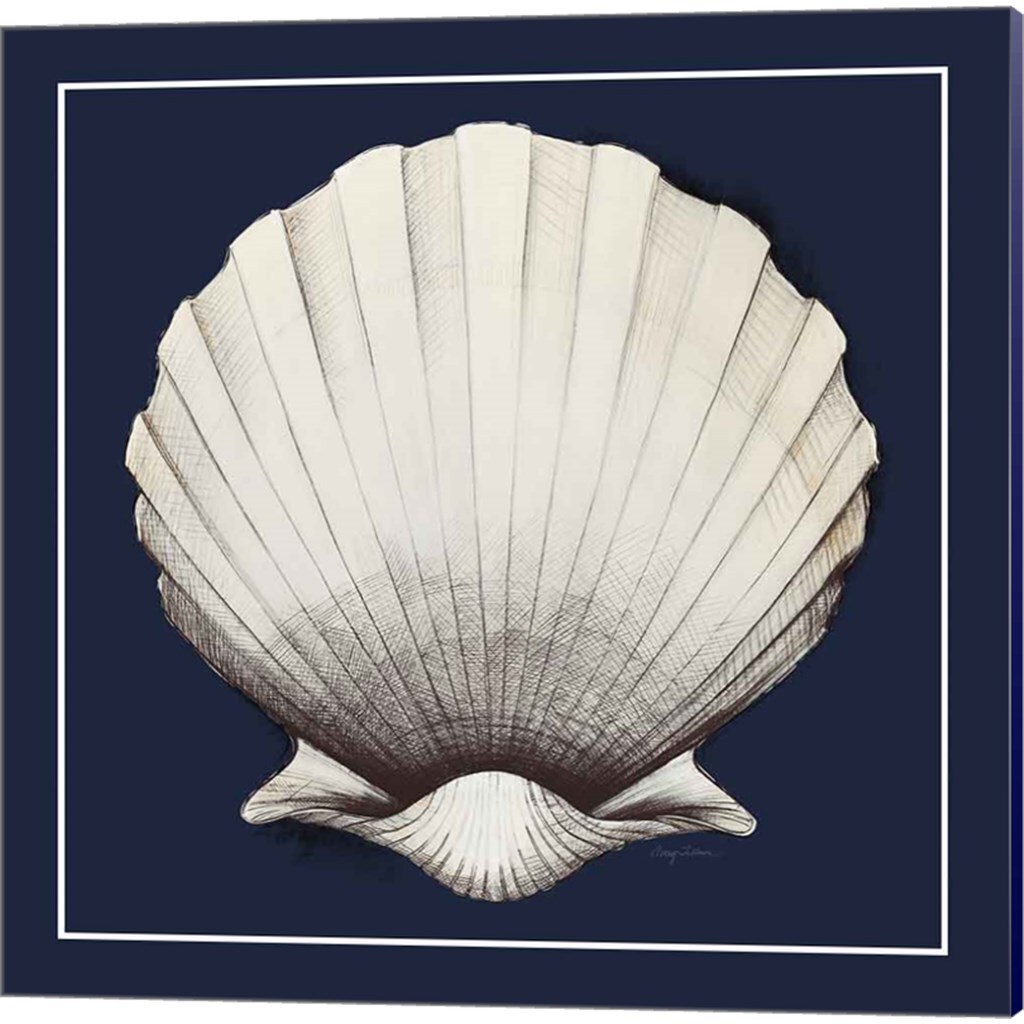 Coastal Shell with Border Navy by Avery Tillmon 14&#x22; x 14&#x22; Canvas Wall Art (Set of 2)
