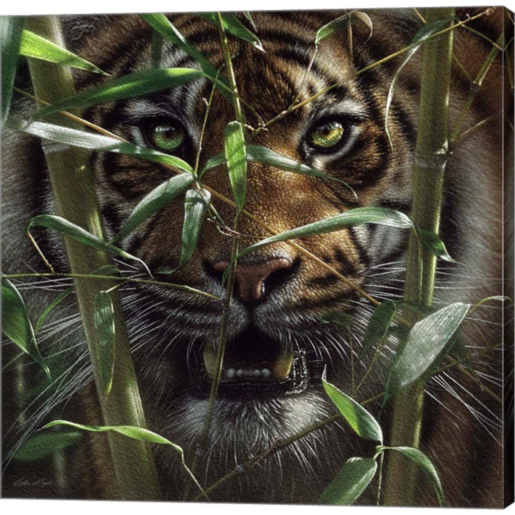 Hungry Eyes by Collin Bogle 24&#x22; x 24&#x22; Canvas Wall Art