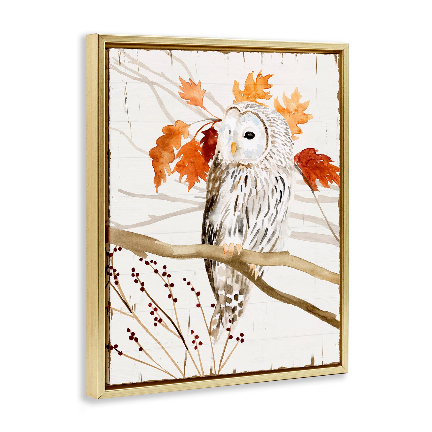 Stupell Industries Owl In Autumnal Forest Framed Floater Canvas Wall Art