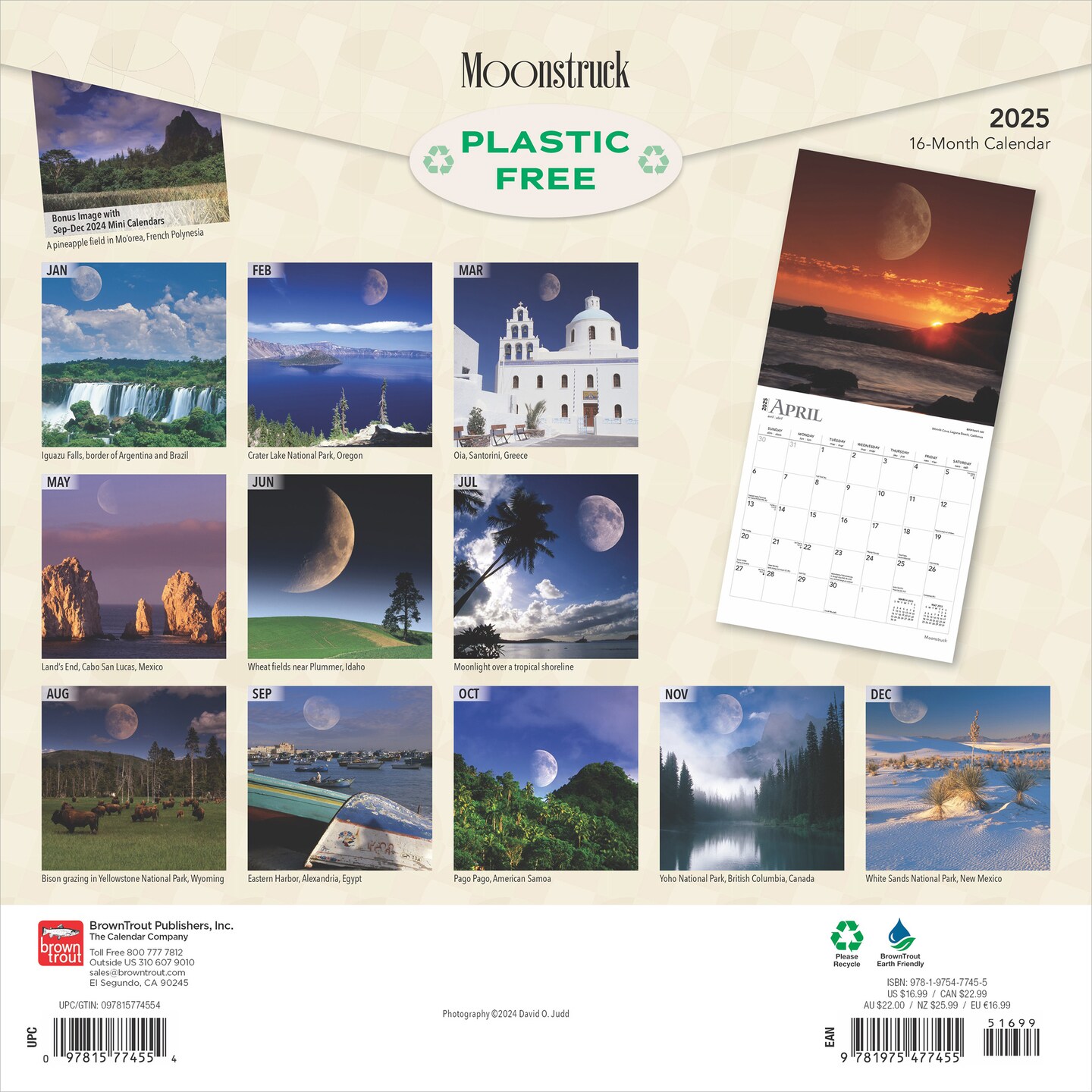 Moonstruck | 2025 12 x 24 Inch Monthly Square Wall Calendar | Foil Stamped Cover | Plastic-Free | BrownTrout | Lunar Stars Sky