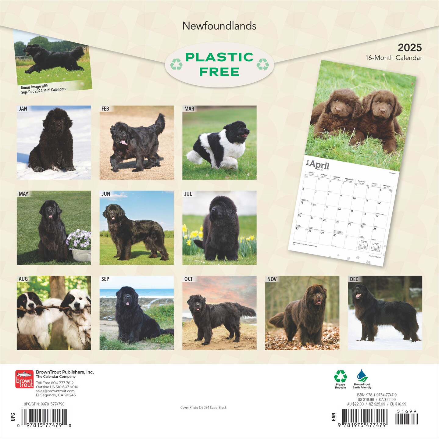 Newfoundlands | 2025 12 x 24 Inch Monthly Square Wall Calendar | Plastic-Free | BrownTrout | Animals Dog Breeds