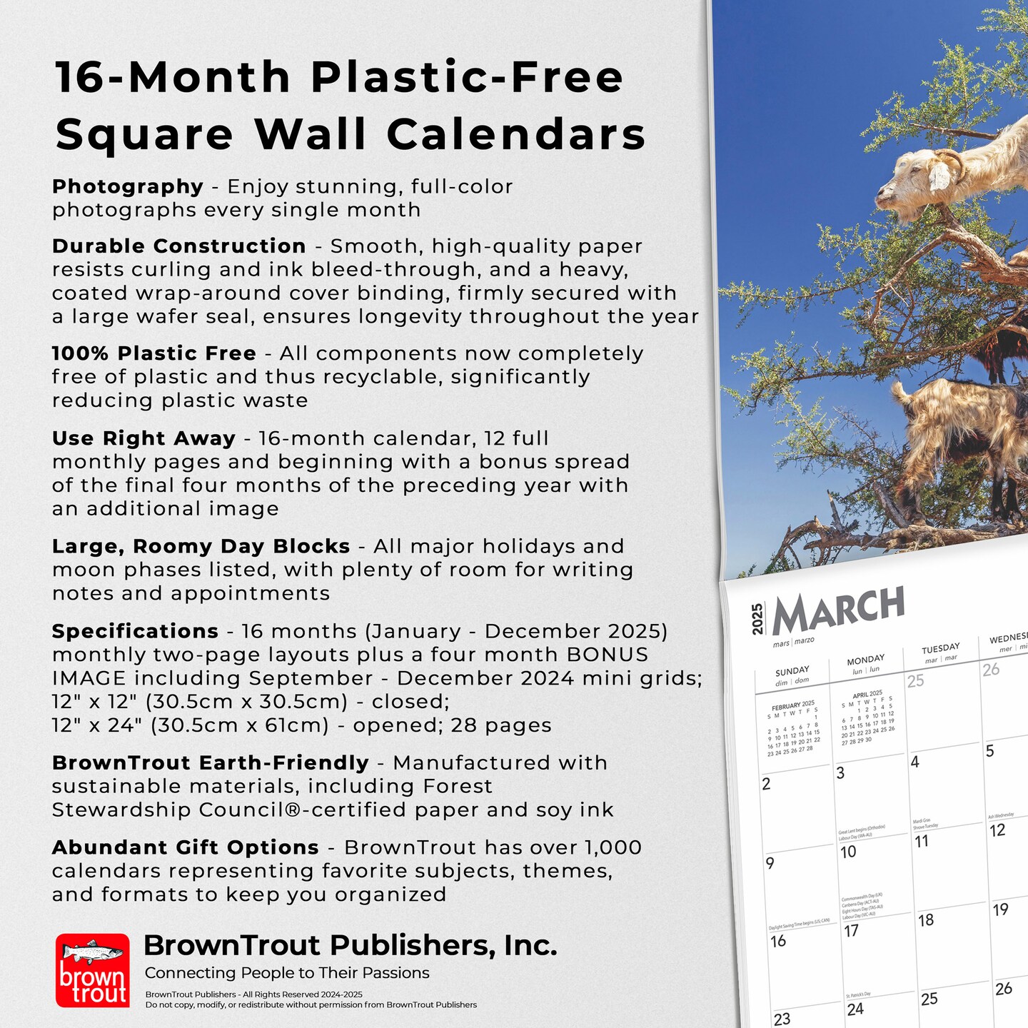 Goats in Trees | 2025 12 x 24 Inch Monthly Square Wall Calendar | Plastic-Free | BrownTrout | Domestic Funny Farm Animals