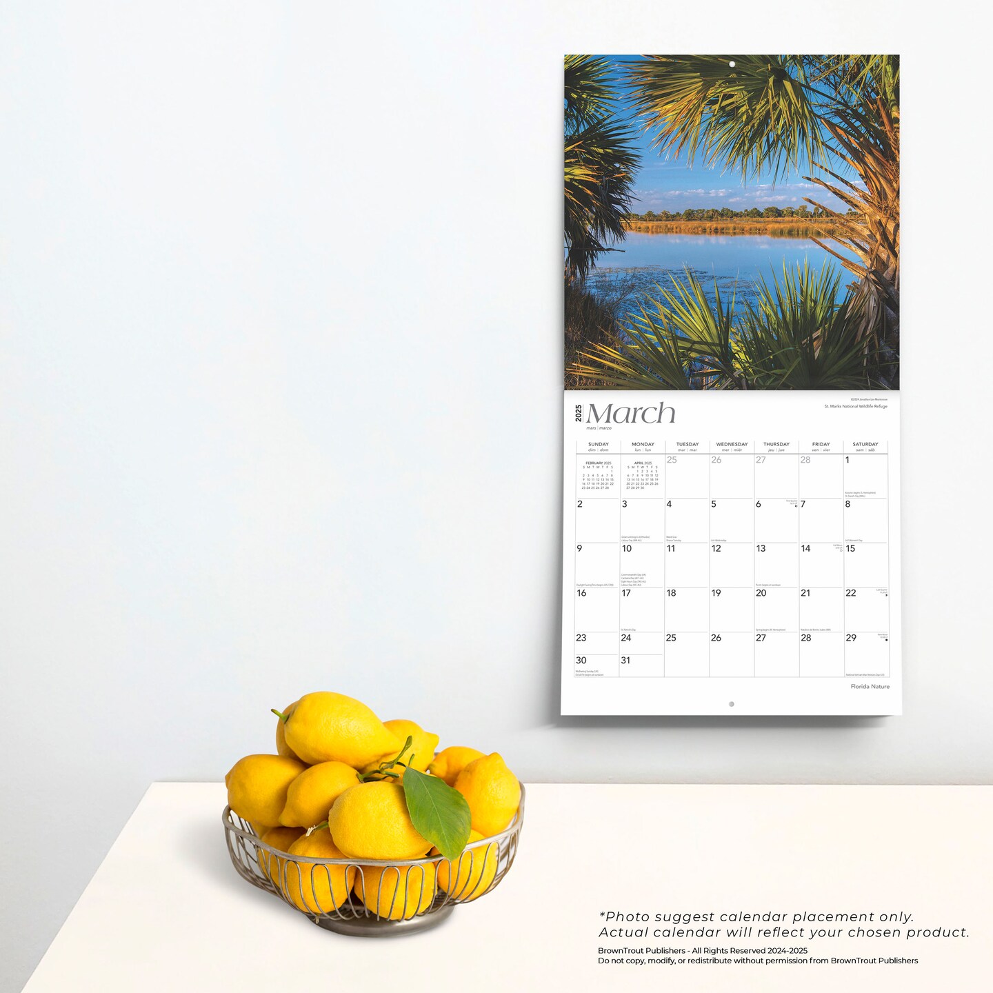Florida Nature | 2025 12 x 24 Inch Monthly Square Wall Calendar | Plastic-Free | BrownTrout | USA United States of America Southeast State