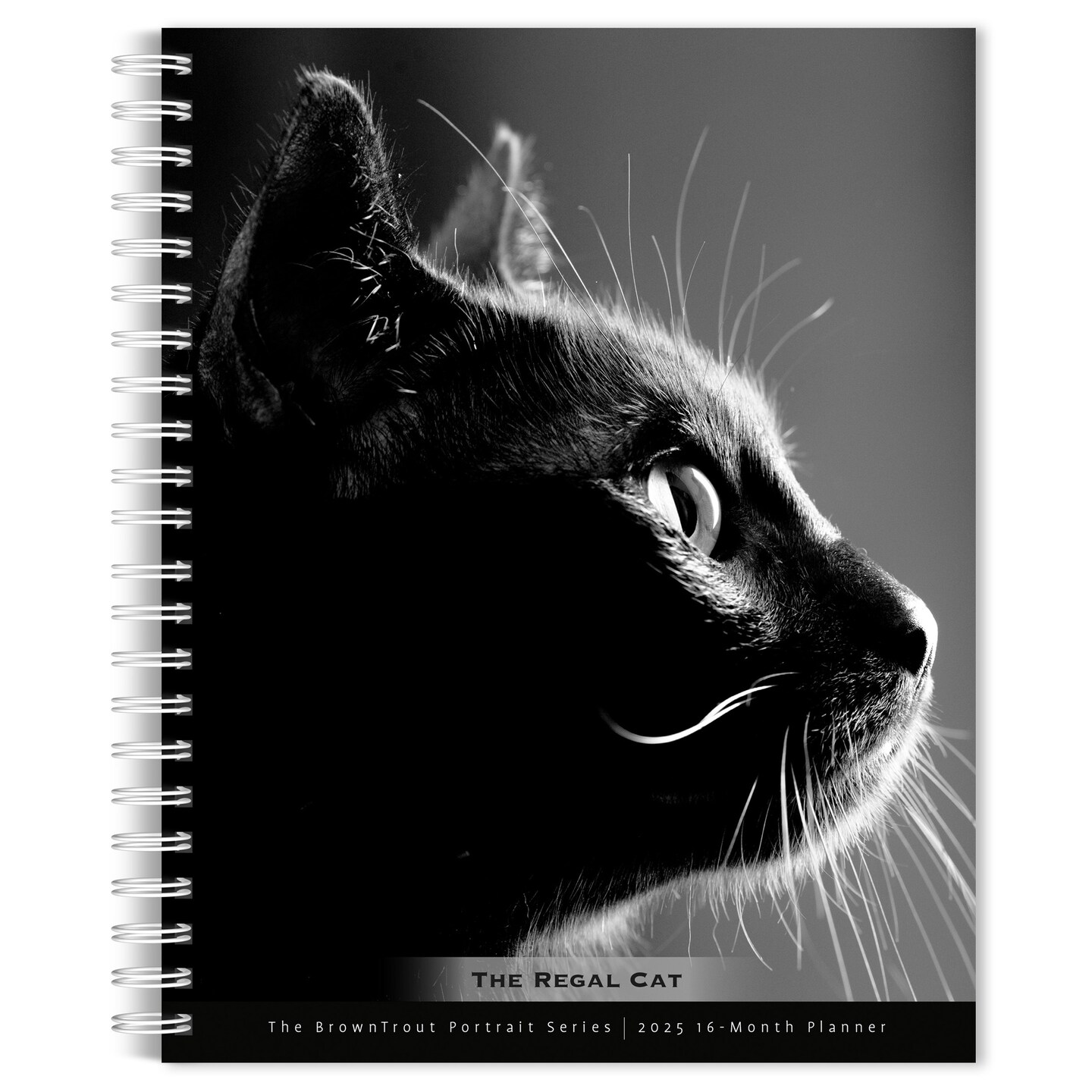 The BrownTrout Portrait Series: The Regal Cat | 2025 6 x 7.75 Inch Spiral-Bound Wire-O Weekly Engagement Planner Calendar | New Image Every Week | Pet Kitten Feline