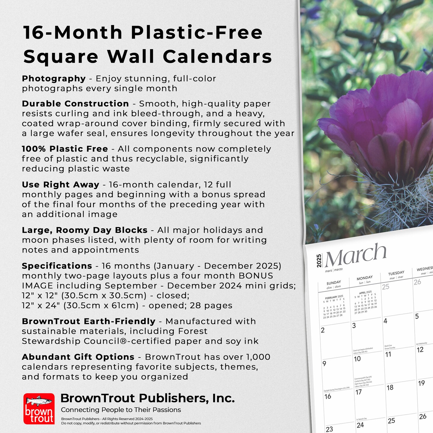 Desert Wildflowers | 2025 12 x 24 Inch Monthly Square Wall Calendar | Plastic-Free | BrownTrout | Floral Outdoor Plant Nature