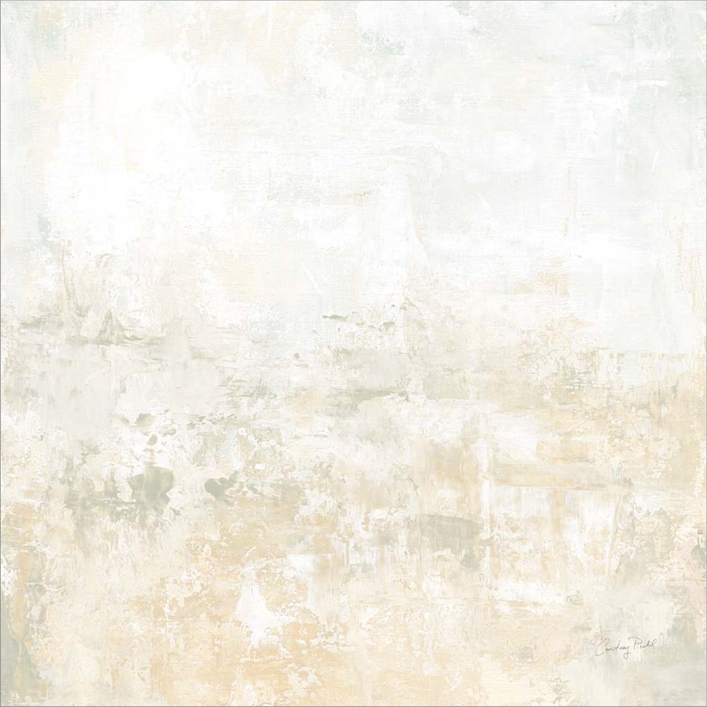 Clay I Light Sq by Courtney Prahl 24&#x22; x 24&#x22; Canvas Wall Art