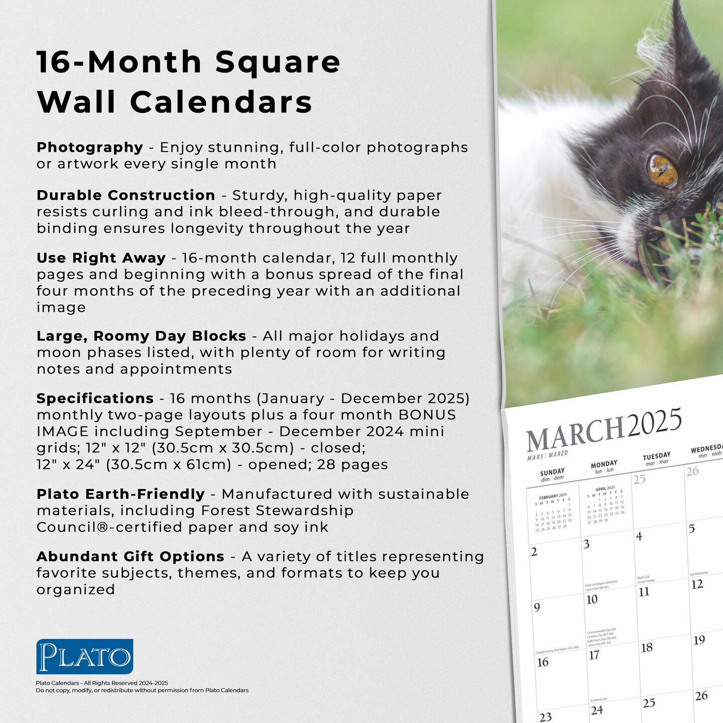I Love Cats | 2025 12 x 24 Inch Monthly Square Wall Calendar | Foil Stamped Cover | Plato | Feline Kittens Pets