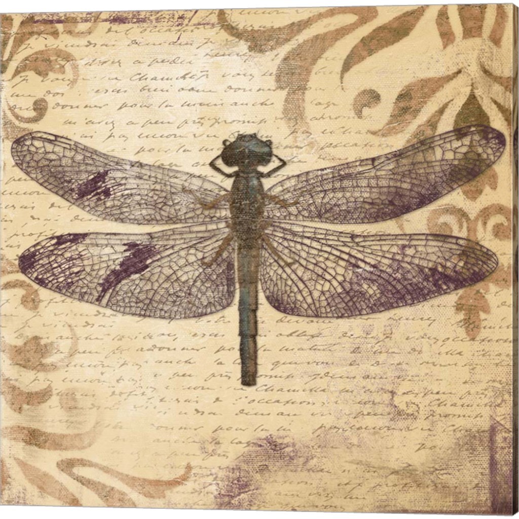 Butterfly &#x26; Dragonfly by Patricia Pinto 14&#x22; x 14&#x22; Canvas Wall Art (Set of 2)