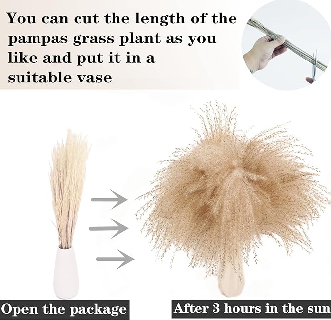 Dried Pampas Grass Decor, 100PCS Pampas grass contains bunny tails. Dried Flowers, Reed Grass Bouquet for Wedding Bohemian Flowers Home Table Decor, Rustic Farmhouse Party (White and Brown)
