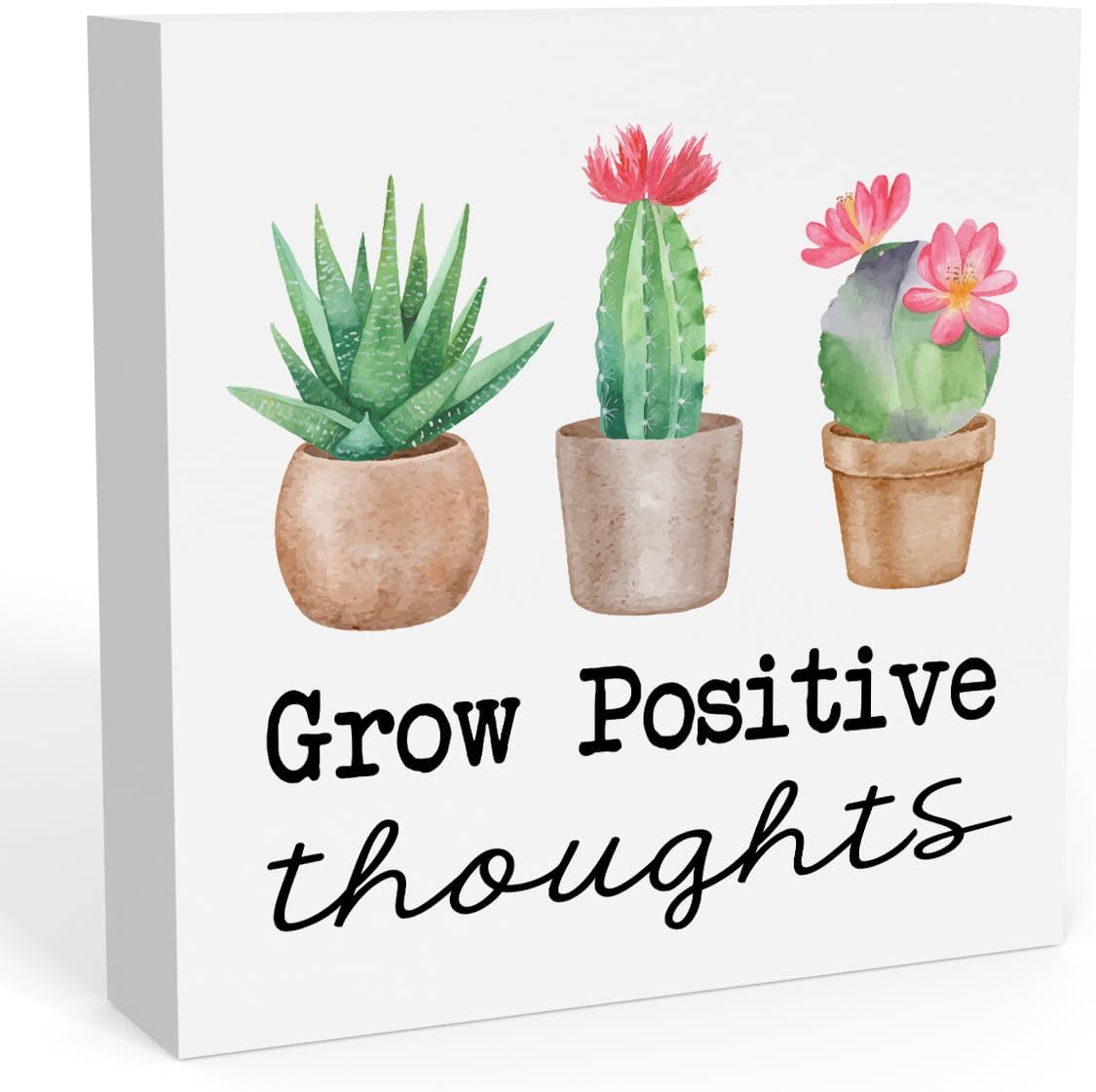 Spring Cactus &#x26; Succulent Decor - Spring Decorations for Home &#x26; Office Decor Grow Positive Thouguht Sign 5x5 Inch