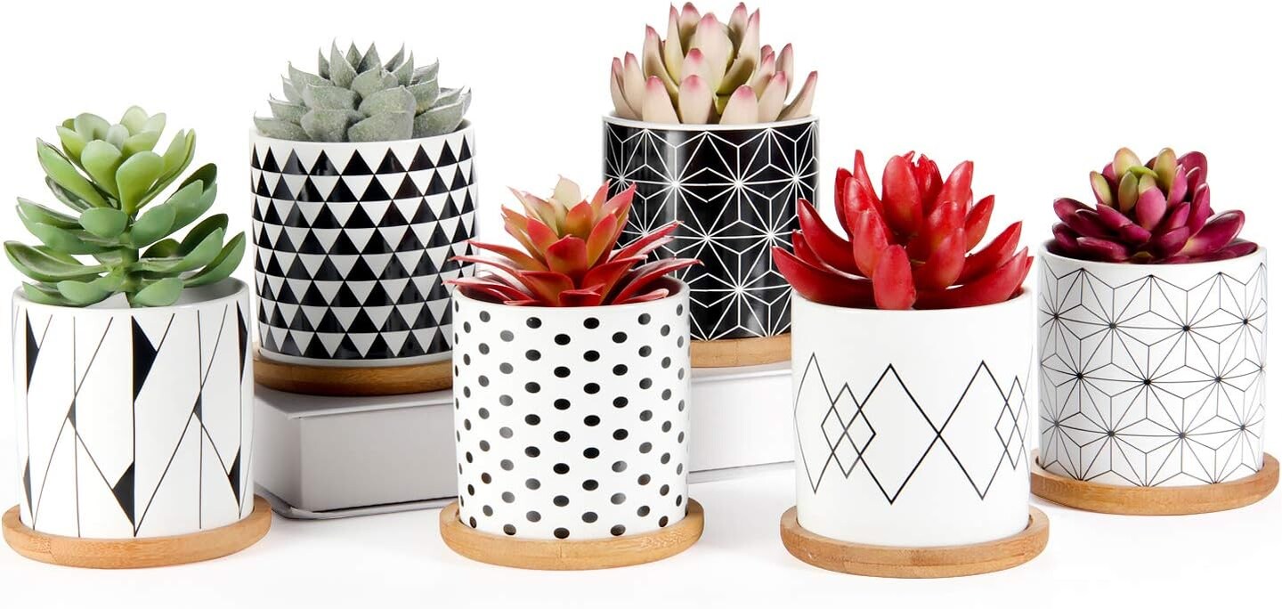 6 Pack 3 Inch Succulent Planters with Drainage and Bamboo Tray