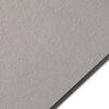 Colorplan REAL GREY - 8.5 x 11&#x22; - 100 Lb. / 270 Gsm Matte Premium Cardstock Paper Cover Sheet - 50 Sheets