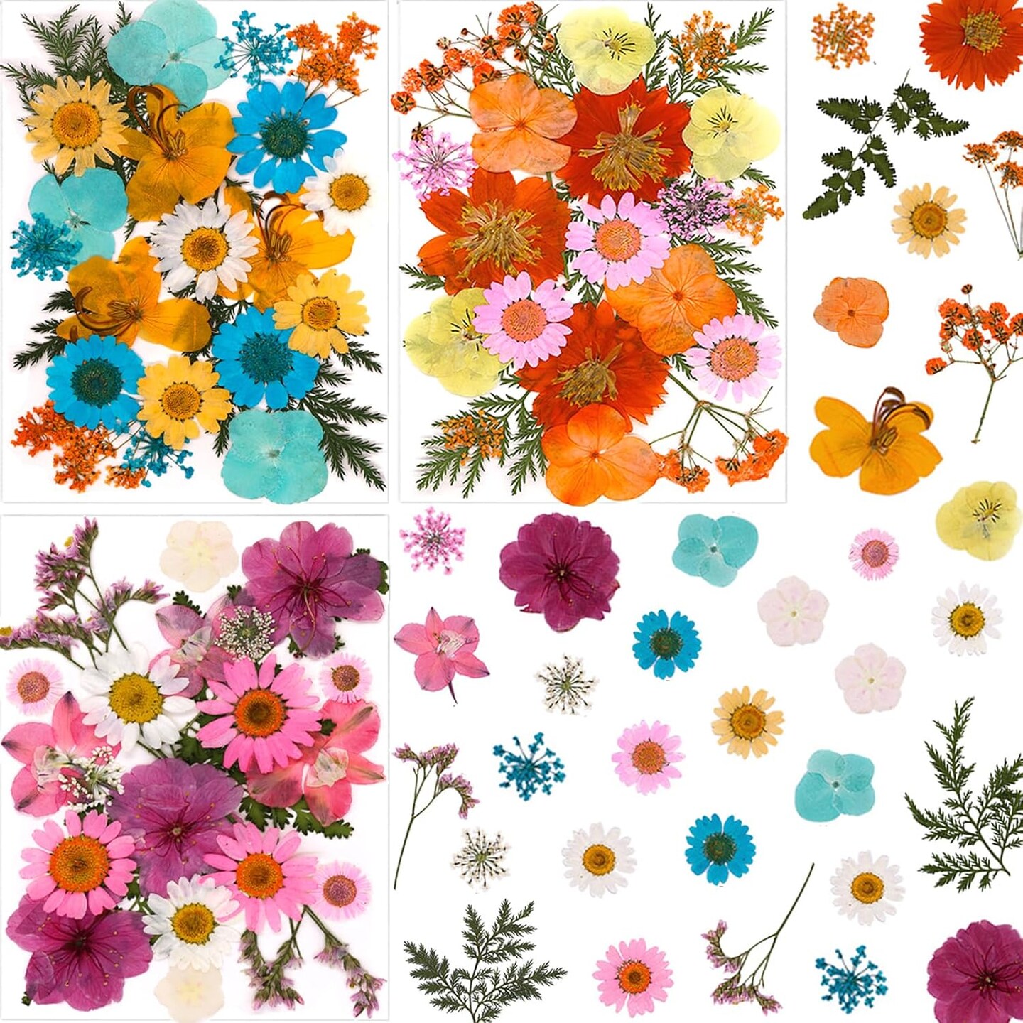 66Pcs Dried Pressed Flowers