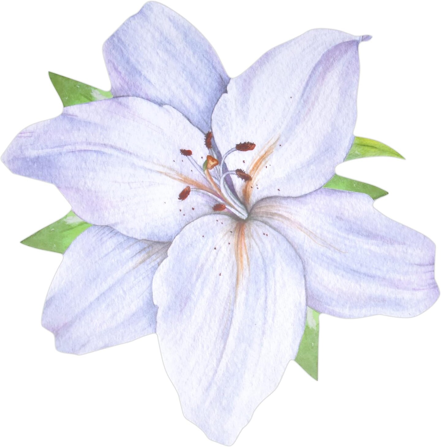 Gift Boutique White Flower Paper Place Mats Disposable Shaped