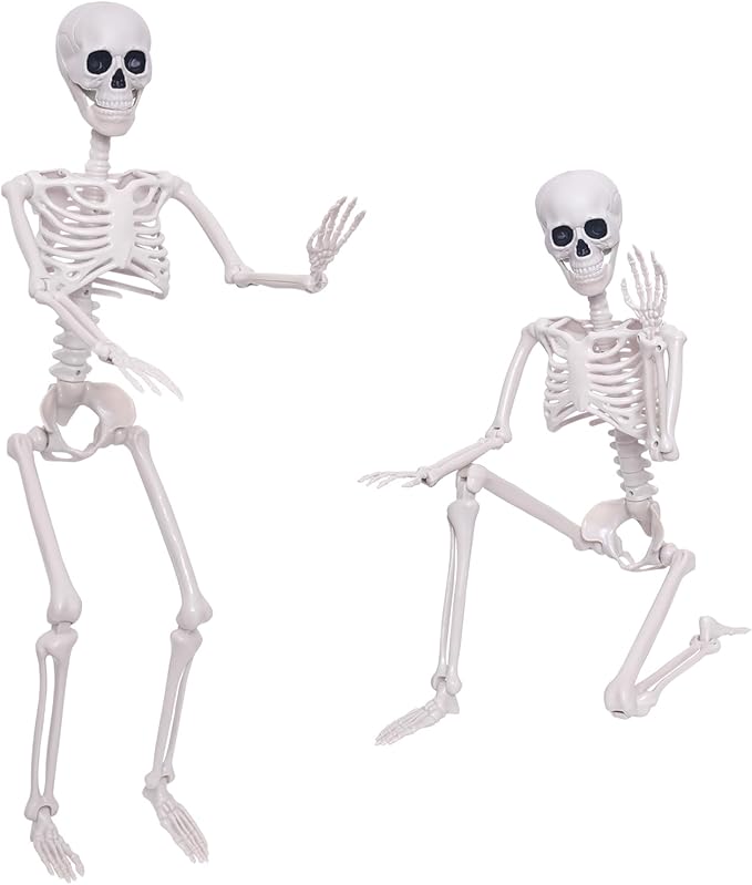 3Ft Halloween Skeleton and 16In Life Size Skeleton Creepy Posable Skeleton Full Size Skeleton with Movable Joints for Outdoor Indoor Halloween Decorations