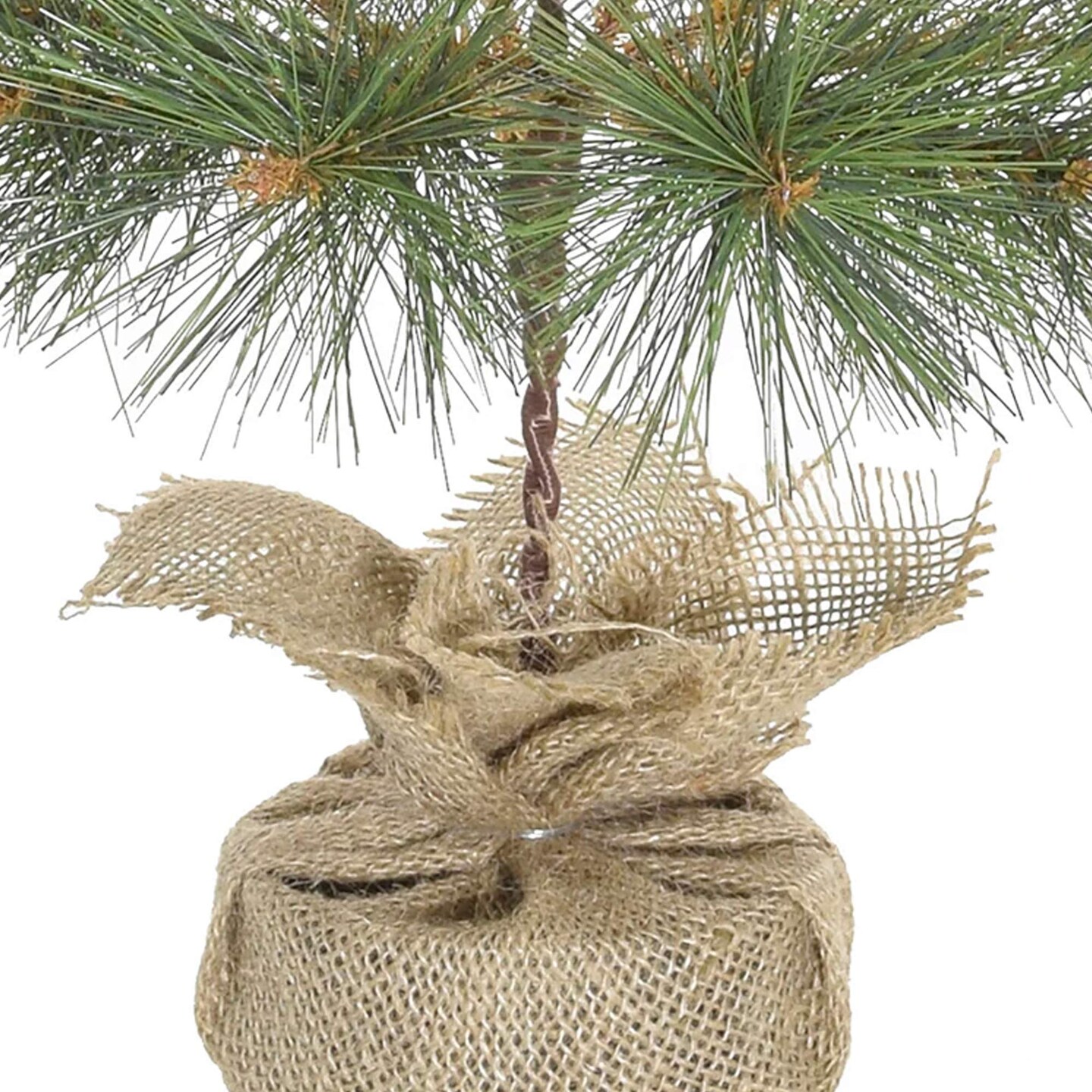 24" Tabletop Mountain Pine Christmas Tree with Burlap Wrapped Base