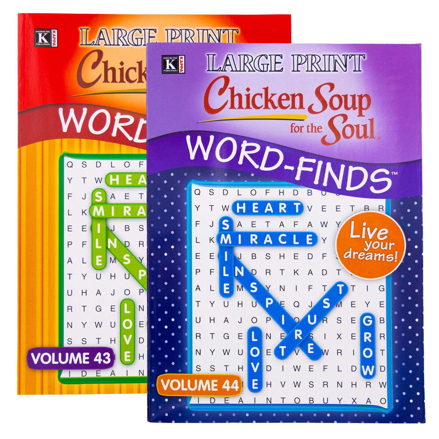 KAPPA Large Print Chicken Soup For The Soul Word Finds Puzzle Book
