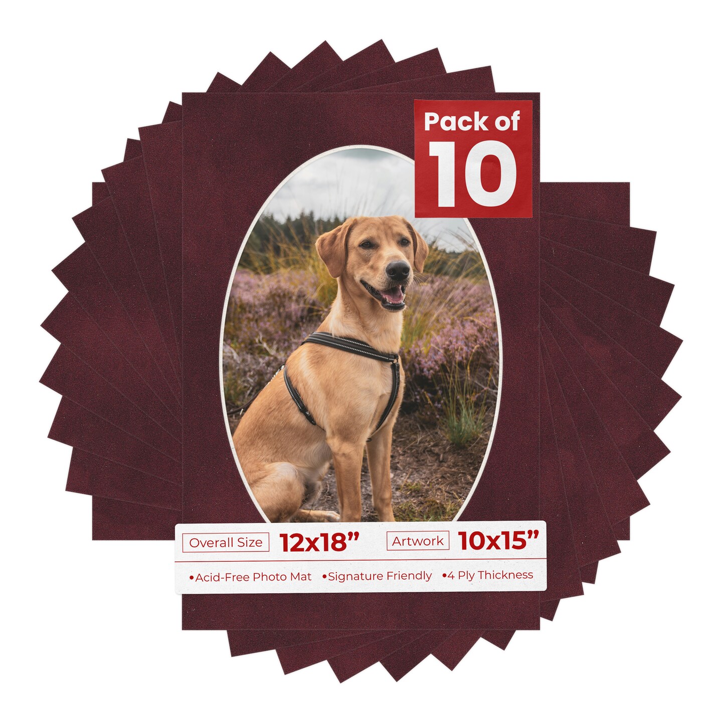 Dark Red Suede Mat Board for 12x18 Frames - Oval Opening for 10x15 Photos