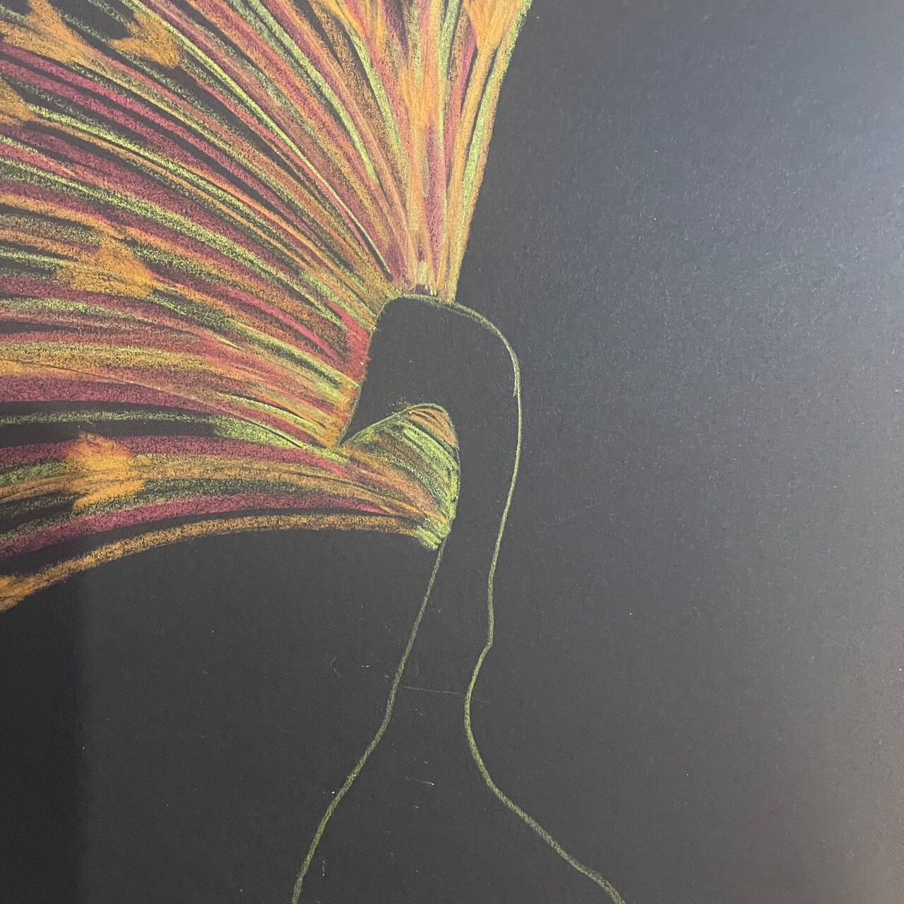 Discovering the Black Edition Colored Pencils by Faber Castell