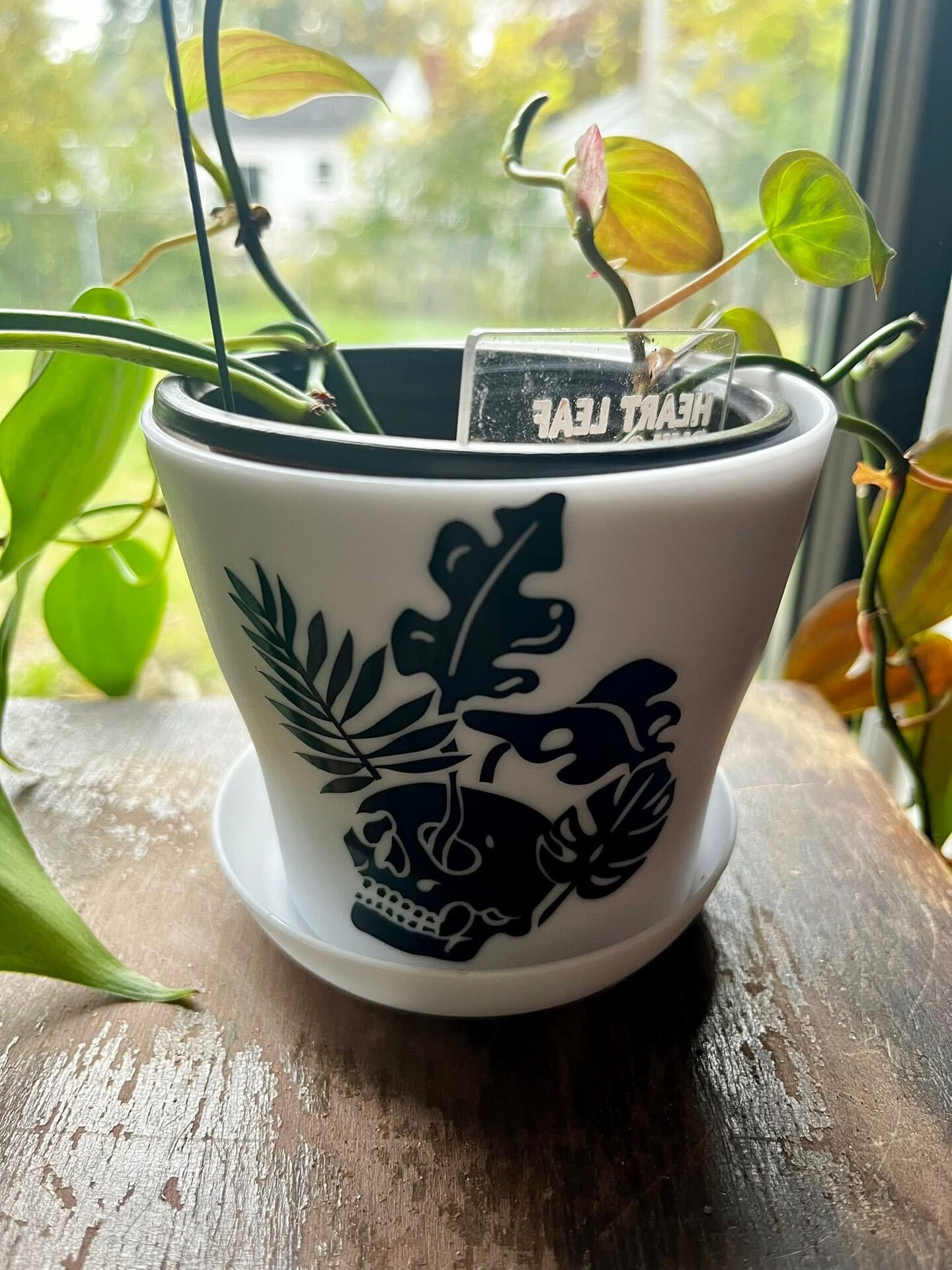 Skull Planter | MakerPlace by Michaels