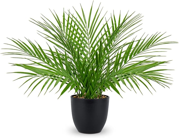 Fake Plant 15’’ Artificial Palm Plant in Matte Black Pot Realistic Faux Tropical Palm Tree Houseplant for Home Indoor Living Room Tabletop Bedroom Decorations