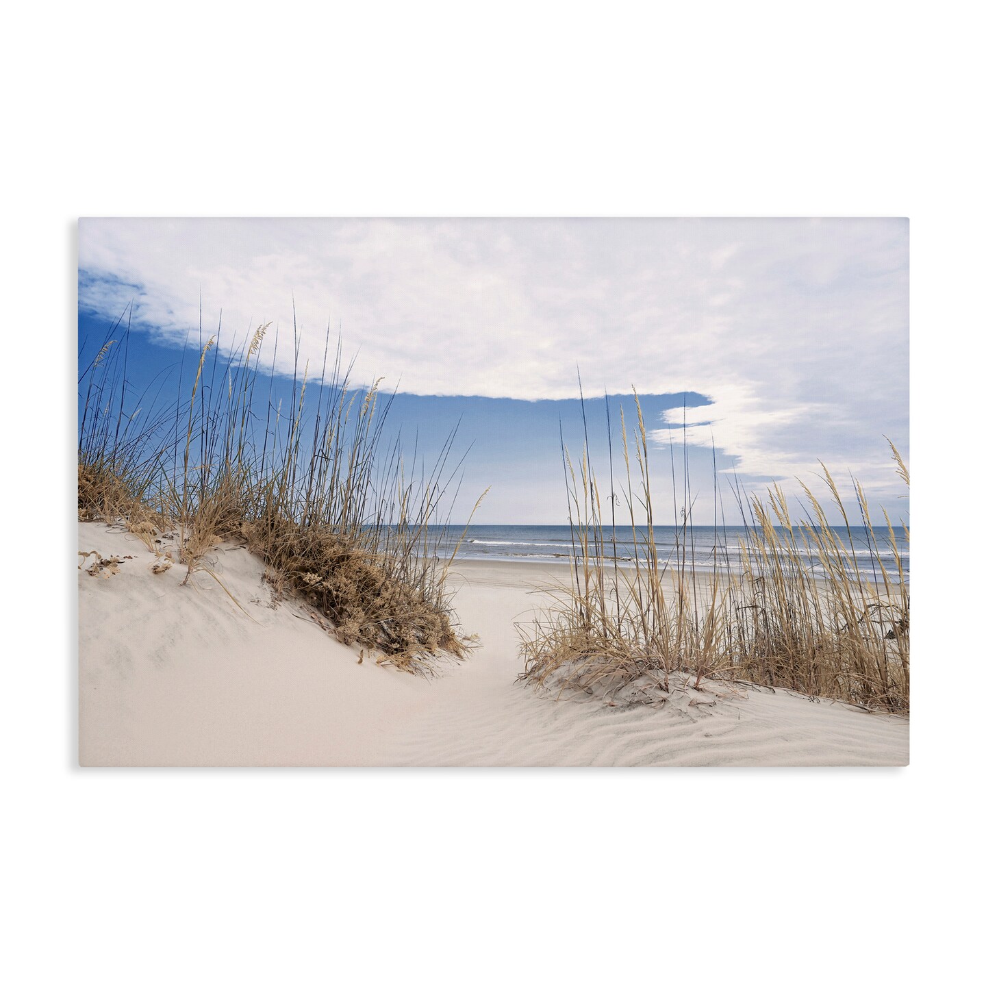 Stupell Industries Sea Oats Along Sandy Dunes Canvas, design by Natalie Carpentieri