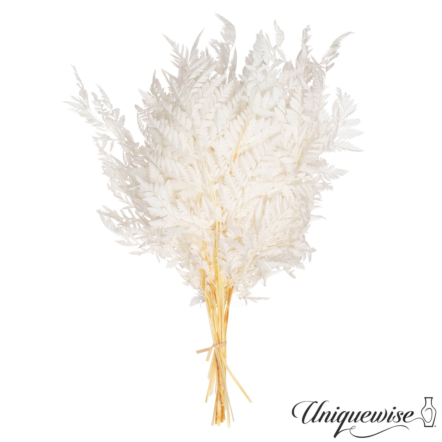 Uniquewise Preserved Real Floral Stems Chic Vase Fillers & Accents for Bouquets Centerpieces & Ornamental Displays Ideal for Home Office Boutique Cafe Resto Bar and Event Decor