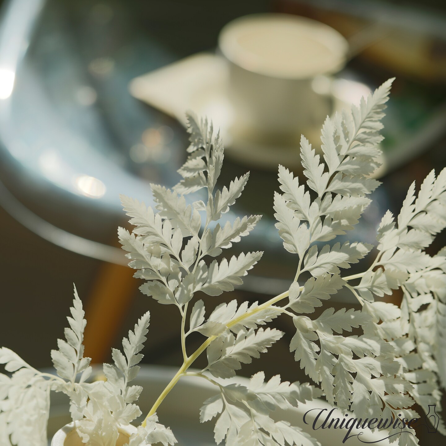 Uniquewise Preserved Real Floral Stems Chic Vase Fillers & Accents for Bouquets Centerpieces & Ornamental Displays Ideal for Home Office Boutique Cafe Resto Bar and Event Decor