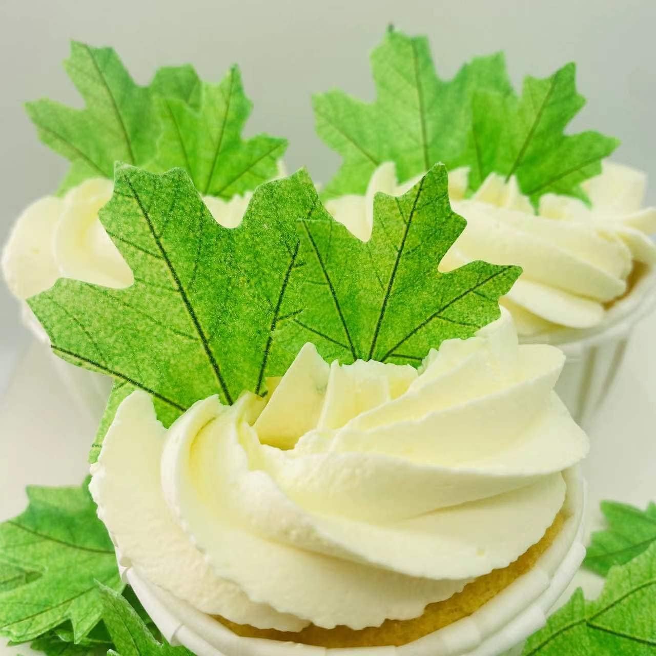 74pcs Edible Green leaves Cupcake Toppers Wafer Flowers Rice Paper Maple