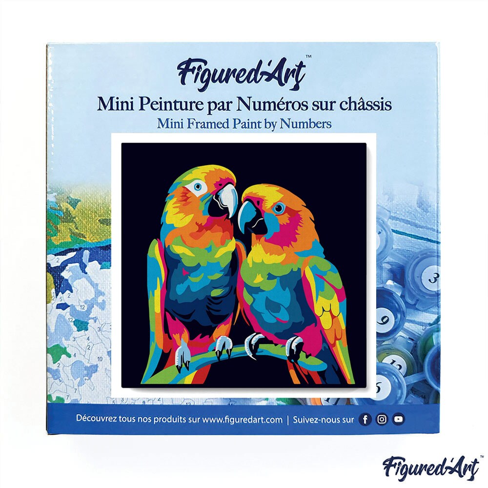 Figured'Art Mini Paint by Numbers Kit for Adults with Frame Parrots Abstract Pop Art Small format 8"x8" - Craft Art Painting DIY Canvas Already Stretched on a Wooden Frame