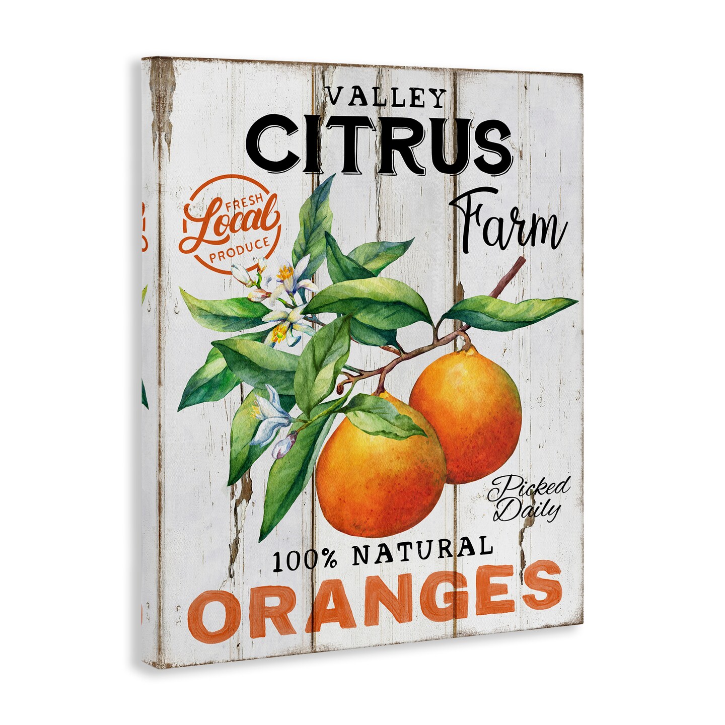 Stupell Industries Retro Citrus Farm Canvas Wall Art Design by Creatif Belle