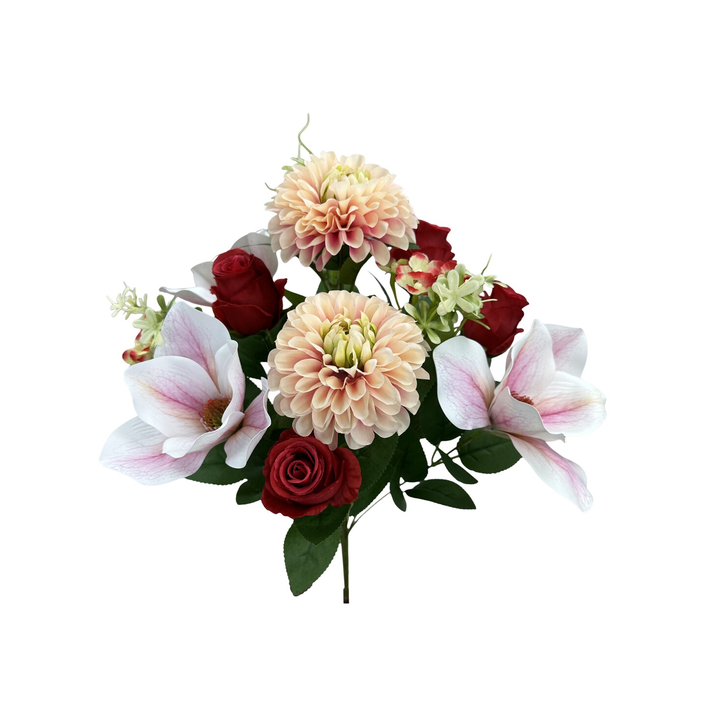 20" Zinnia Magnolia Rose Bush x12 | Mixed Floral Bush-64011RDPK