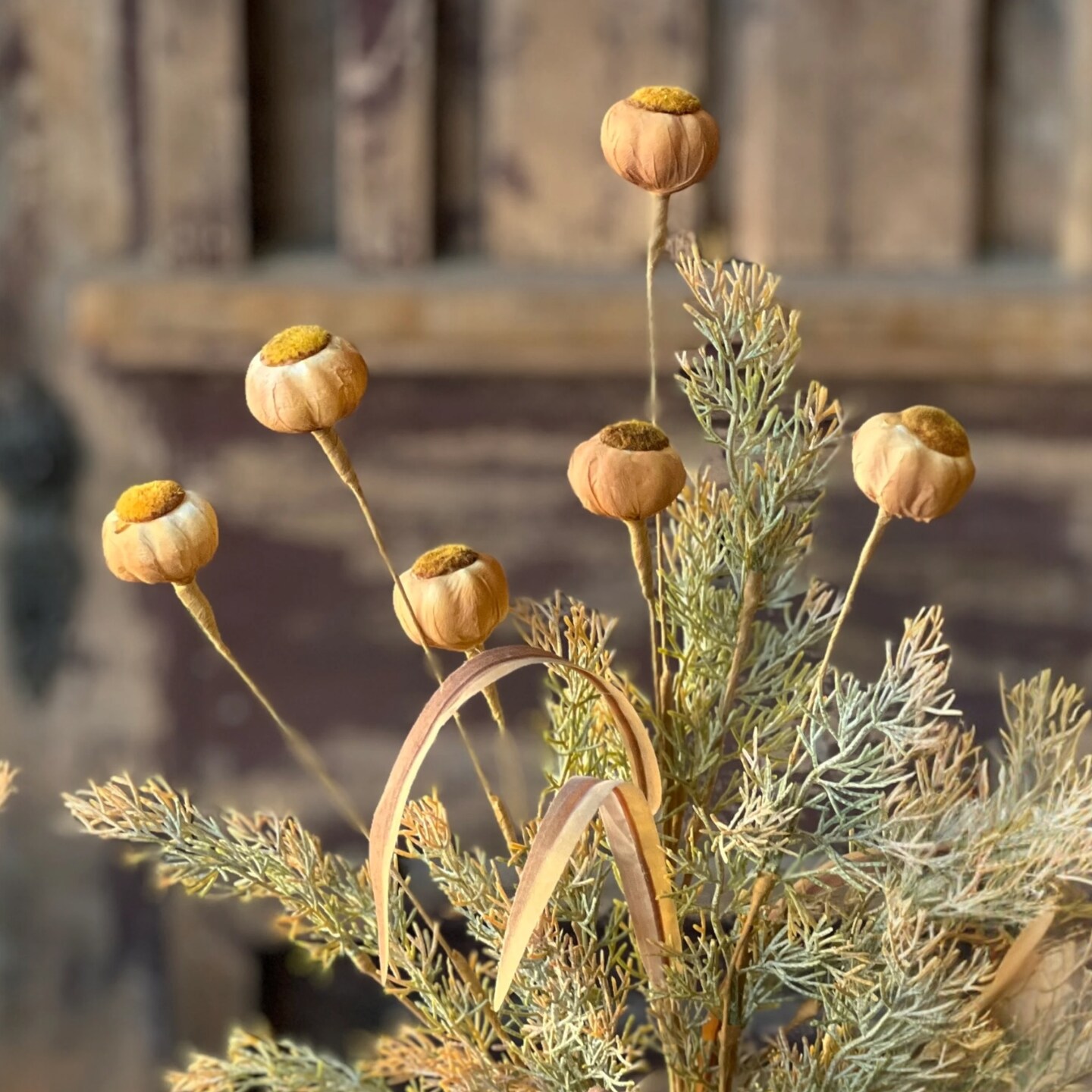Poppy Pod with Stem | 22&#x22; , Set of 2 &#x2013; Decorative Faux Floral Accent (Two Colors) - Holiday Tree