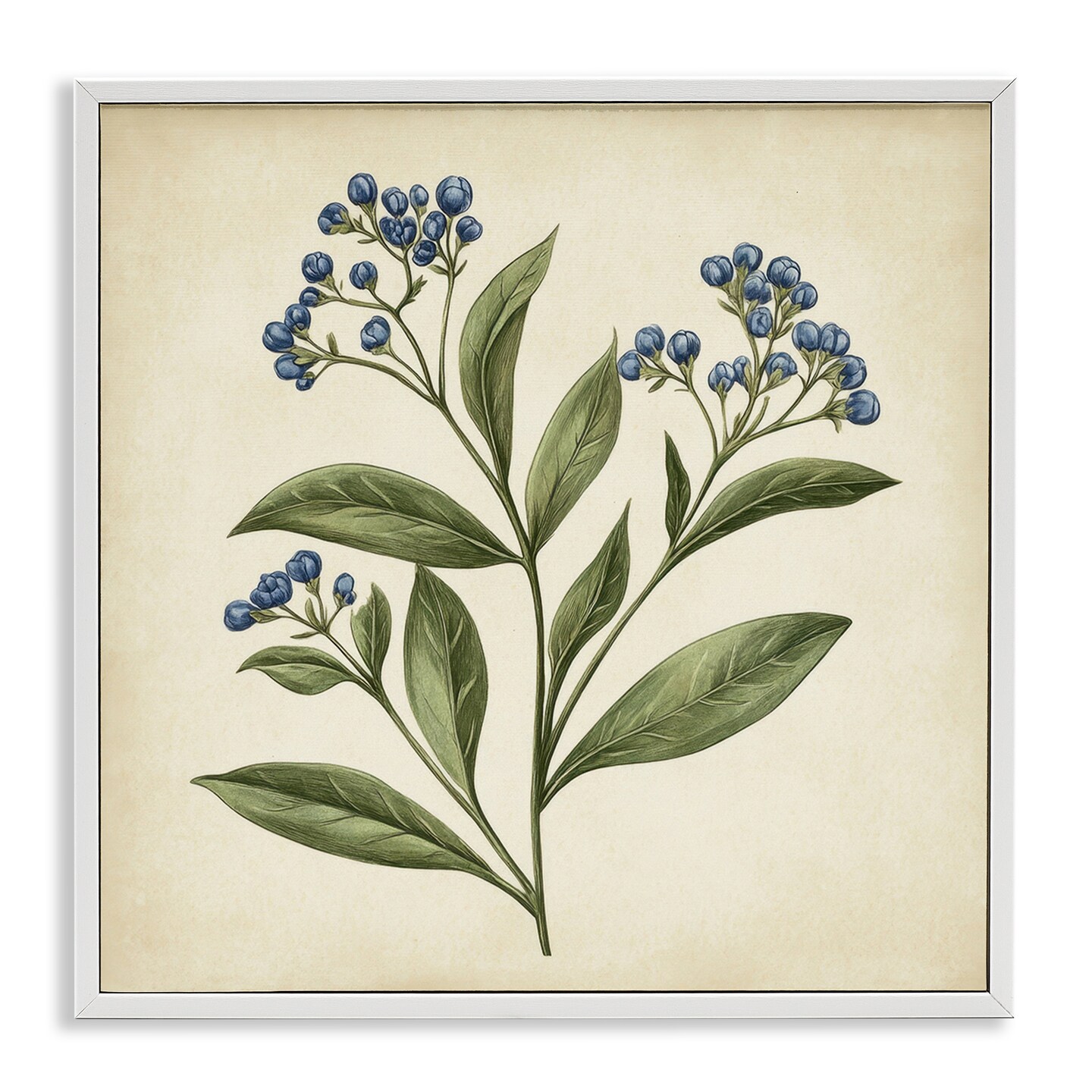 Stupell Industries Blue Buds Botanical Illustration Framed Giclee, design by Petal Prints Design