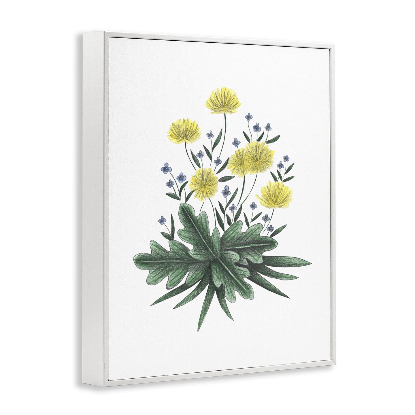 Stupell Industries Dandelion Flower Illustration Framed Giclee, design by Cecilia Battaini
