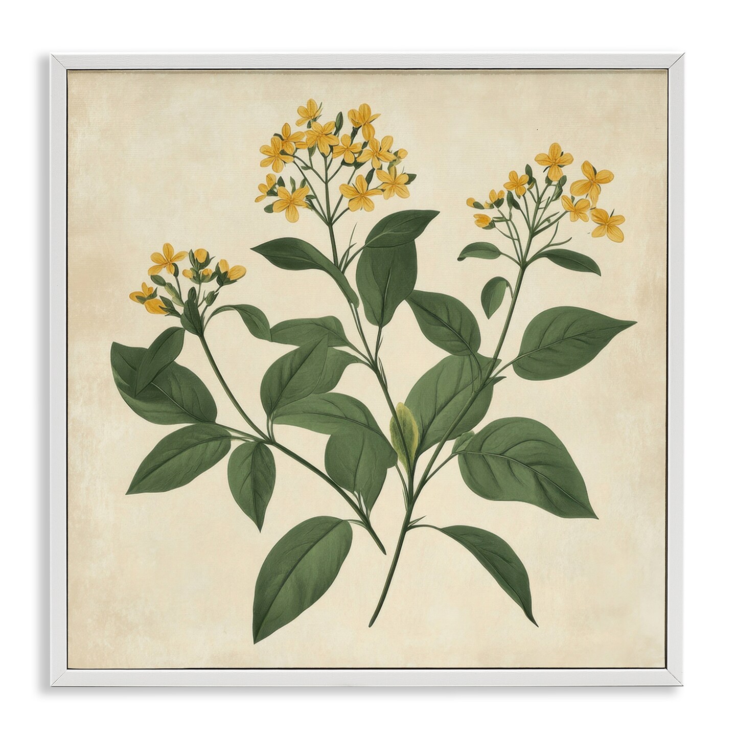 Stupell Industries Yellow Bushels Botanical Illustration Framed Giclee, design by Petal Prints Design