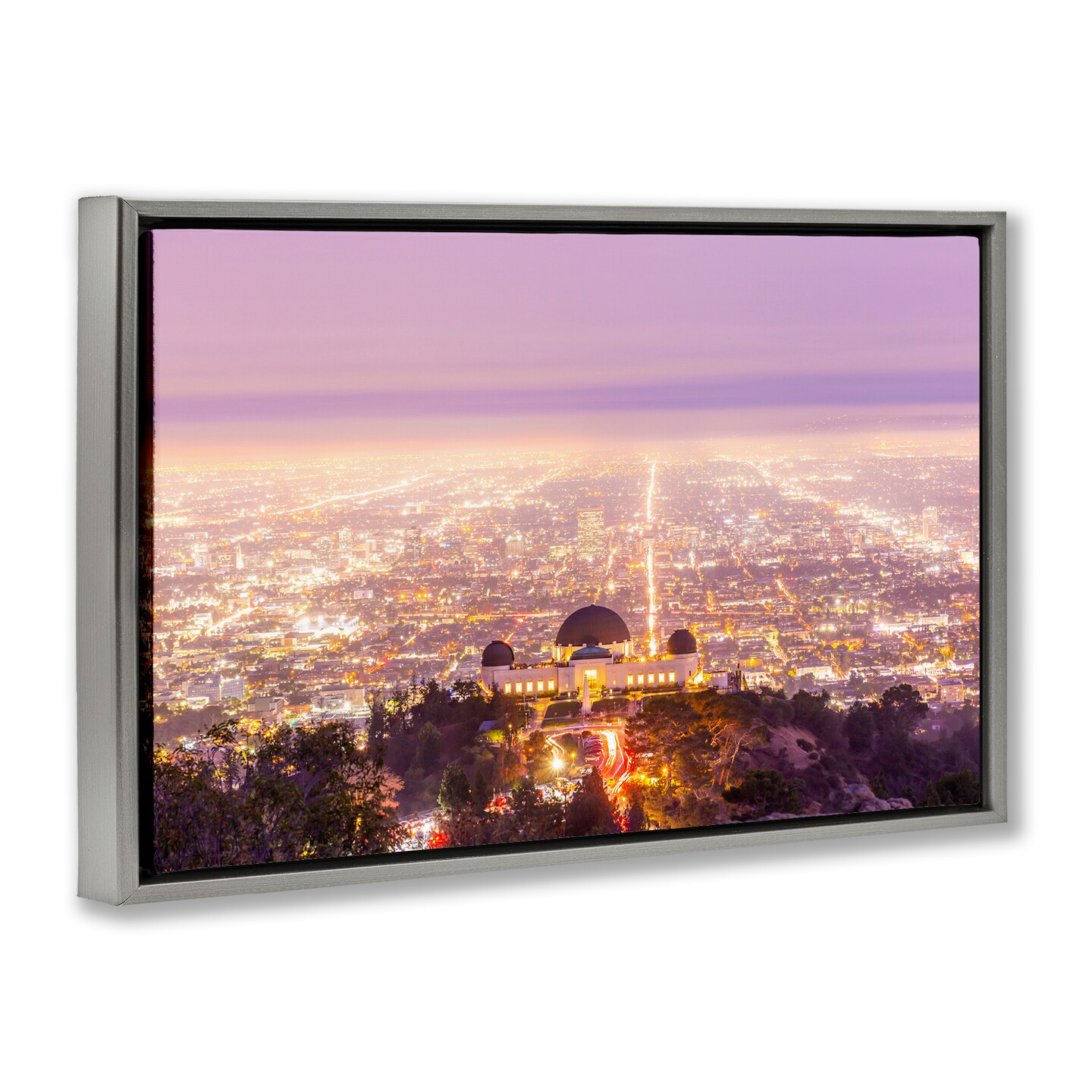 Stupell Industries Griffith Park Scenic Overview Floating Frame, design by Jeff Poe Photography