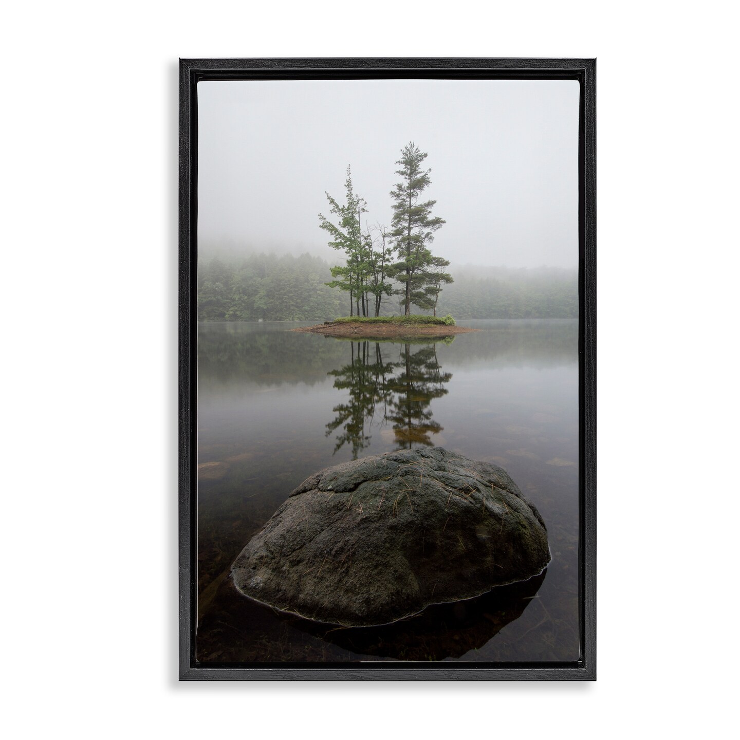 Stupell Industries Duo Trees Lake Reflection Floating Frame, design by James Rodewald