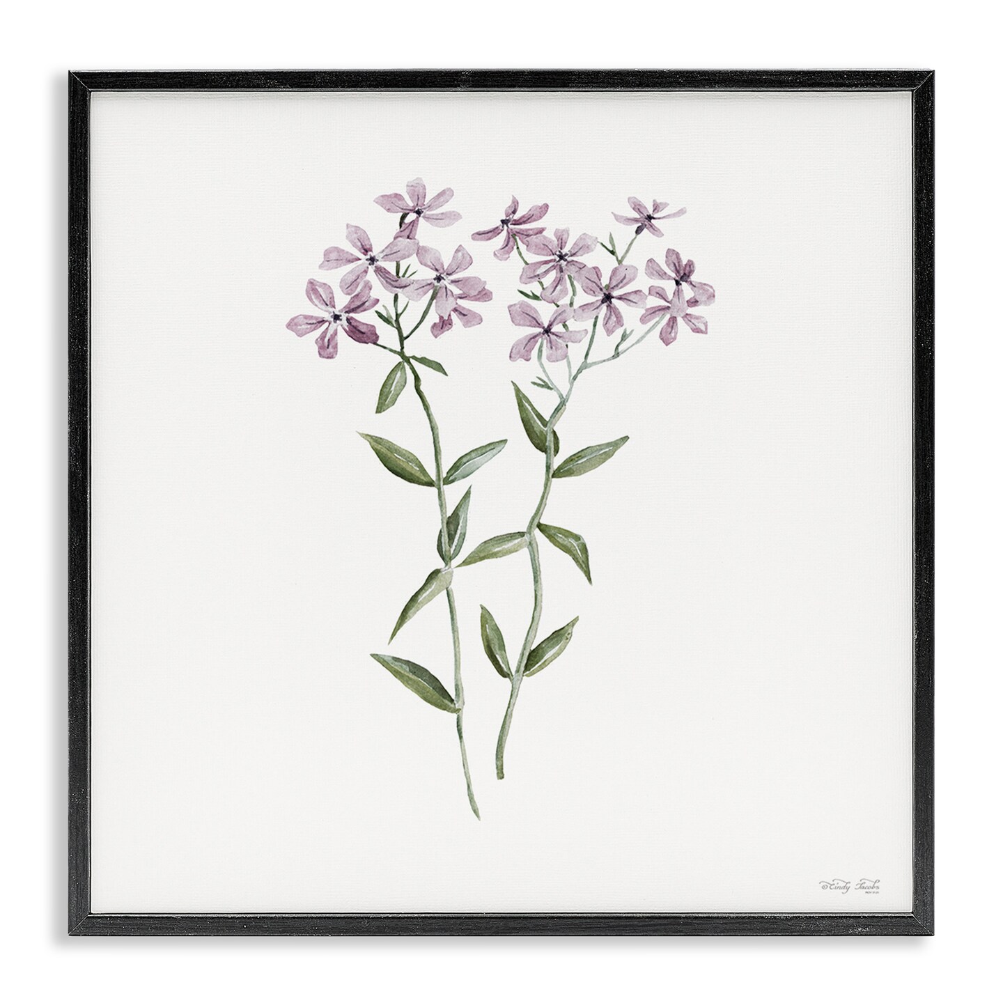 Stupell Industries Purple Phlox Botanical Framed Giclee, design by Cindy Jacobs