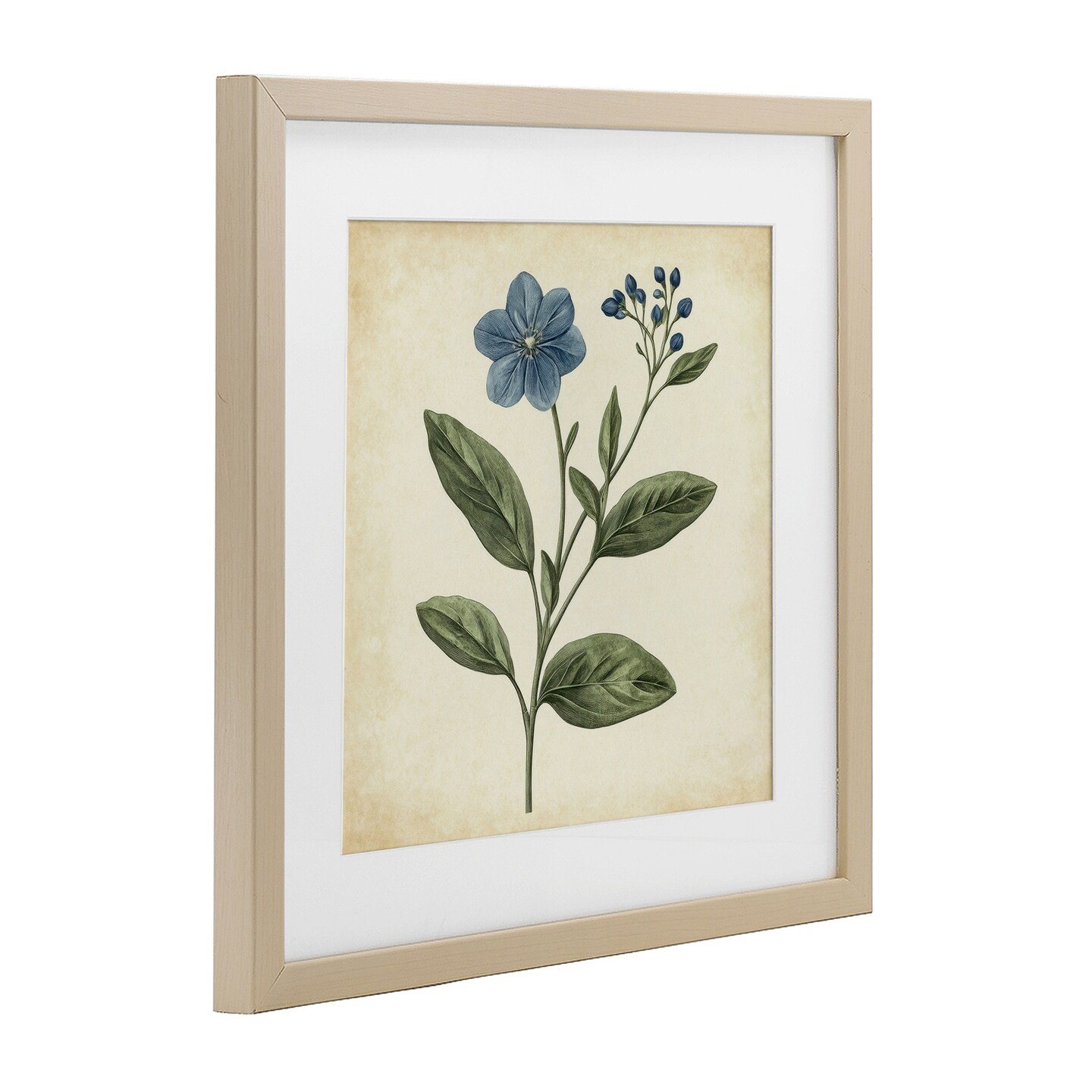 Stupell Industries Vintage Blue Blossoms Wildflower Framed Print Under Glass, design by Petal Prints Design