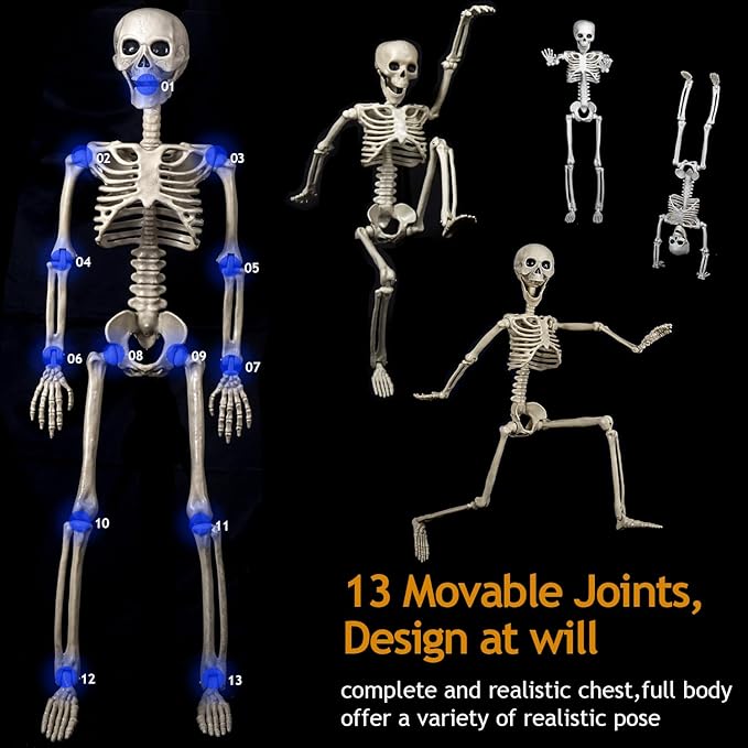 6 Pack(1×40"+2×24"+3×16") Pose-N-Stay Halloween Skeleton Life Size Full Body Posable Movable Jonints for Halloween Decoration Decor
