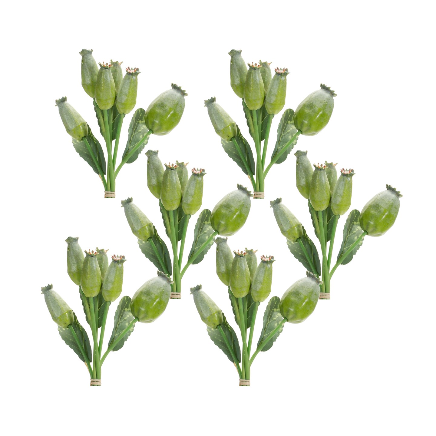 Poppy Pod Bundle (Set of 6)