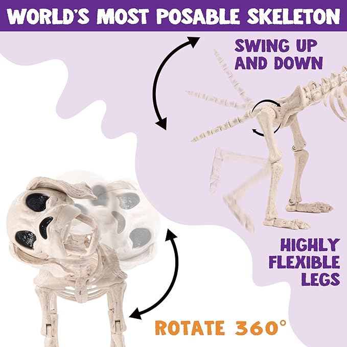 Posable Halloween Dog Skeleton Full Body Posable Joints Skeleton Puppy for Halloween Decoration, Graveyard Party Deco (9.8&#x201D; X 4.7&#x201D; X 12.6&#x201D;)