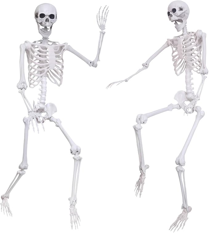 5.4Ft Halloween Life Size Skeleton,2PCS Posable Skeleton Full Body Size Realistic Human Bones with Movable Joints for Indoor Outdoor Halloween Decoration (Grey)